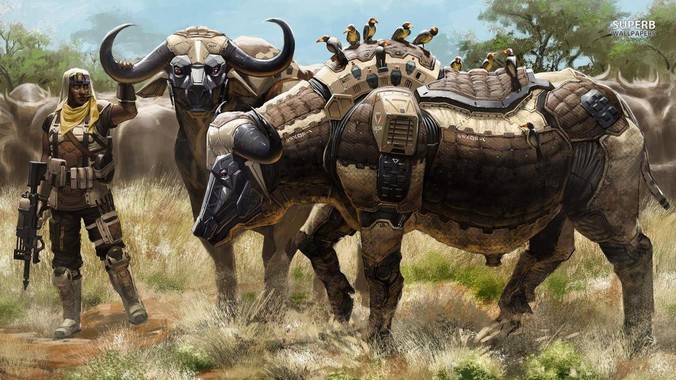 你曾看到空乘做过的最傻的事情是什么？